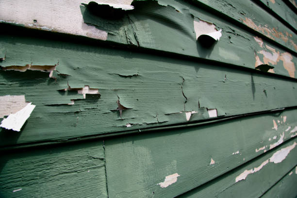 Best Residential Junk Removal  in Opelousas, LA
