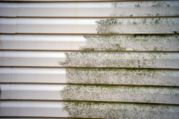 Best Demolition Debris Removal  in Opelousas, LA