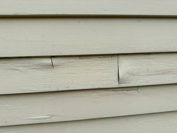 Best Shed Removal  in Opelousas, LA